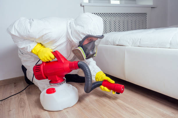 Best Rat Extermination Near Me  in Mount Ida, AR