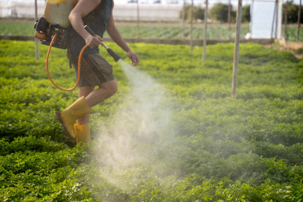 Best Commercial Pest Control Services  in Mount Ida, AR