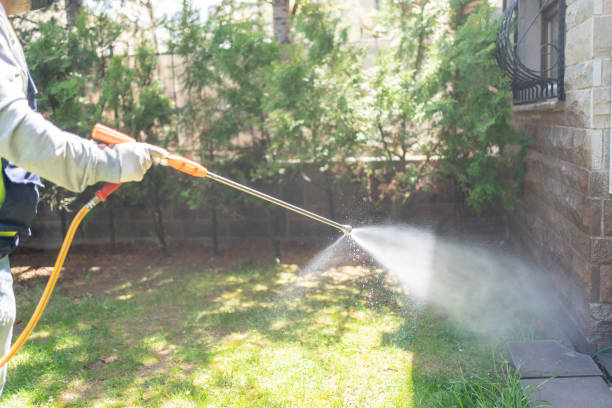 Spider Control Near Me in Mount Ida, AR