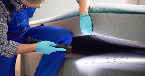 Best Pest Inspection Near Me  in Mount Ida, AR